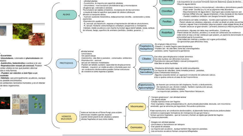 Miniatura del documento Captura-de-pantalla-32.png