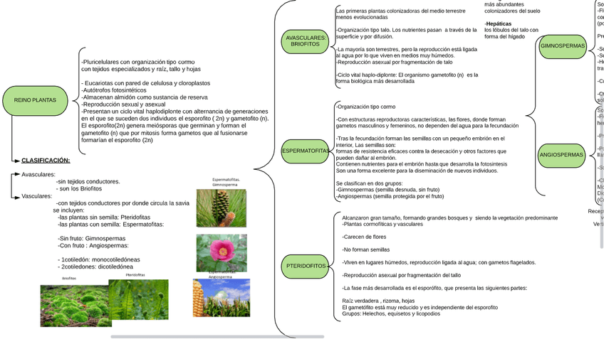 Miniatura del documento Parte-1-Esquema-plantas.png