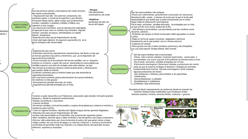 Miniatura del documento Parte-2-R.png