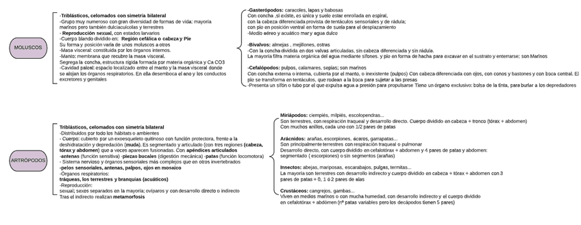 Miniatura del documento R.png