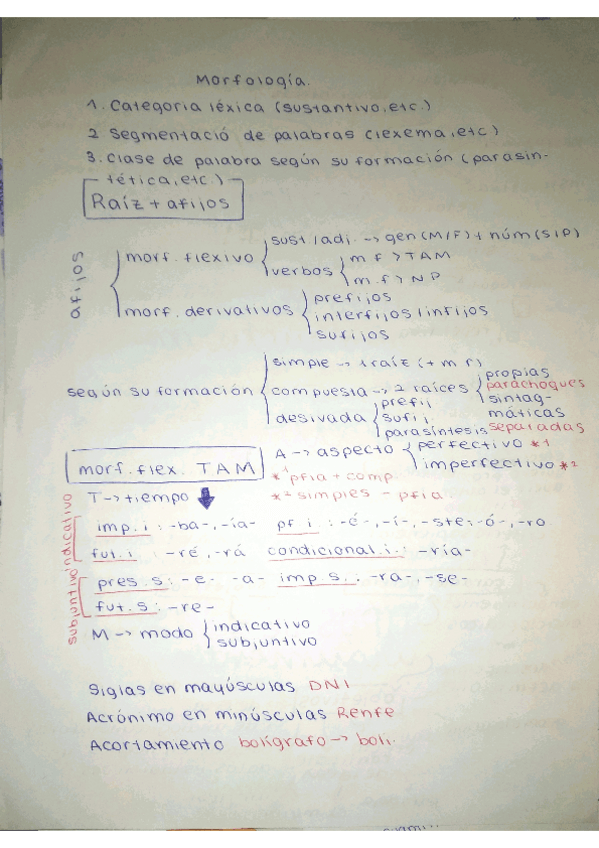 Miniatura del documento Morfologia.pdf