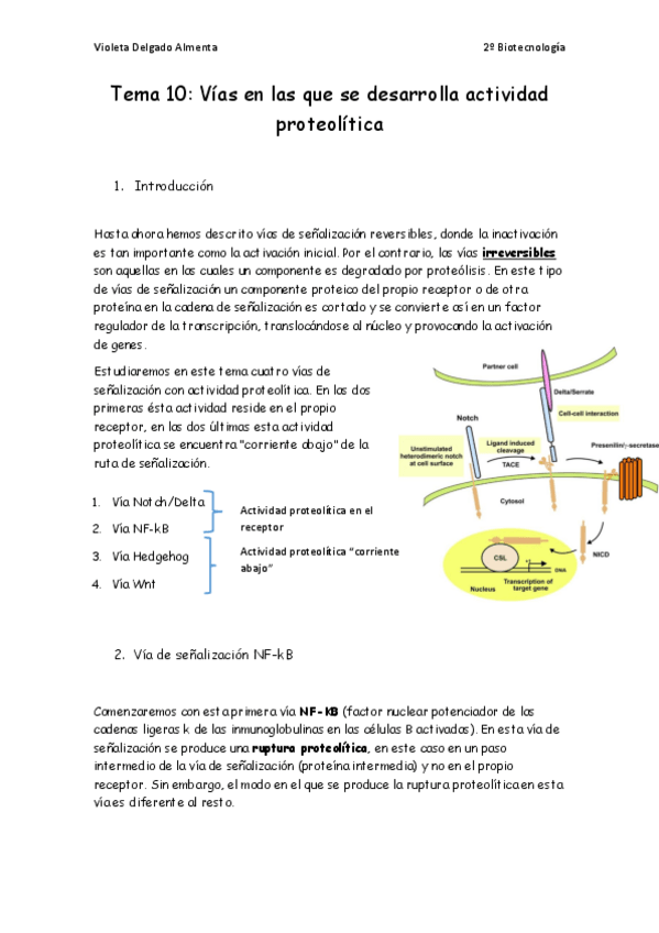Miniatura del documento Tema-10.pdf