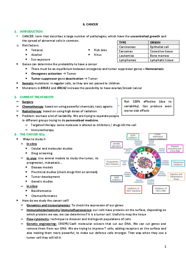 Miniatura del documento 67.pdf