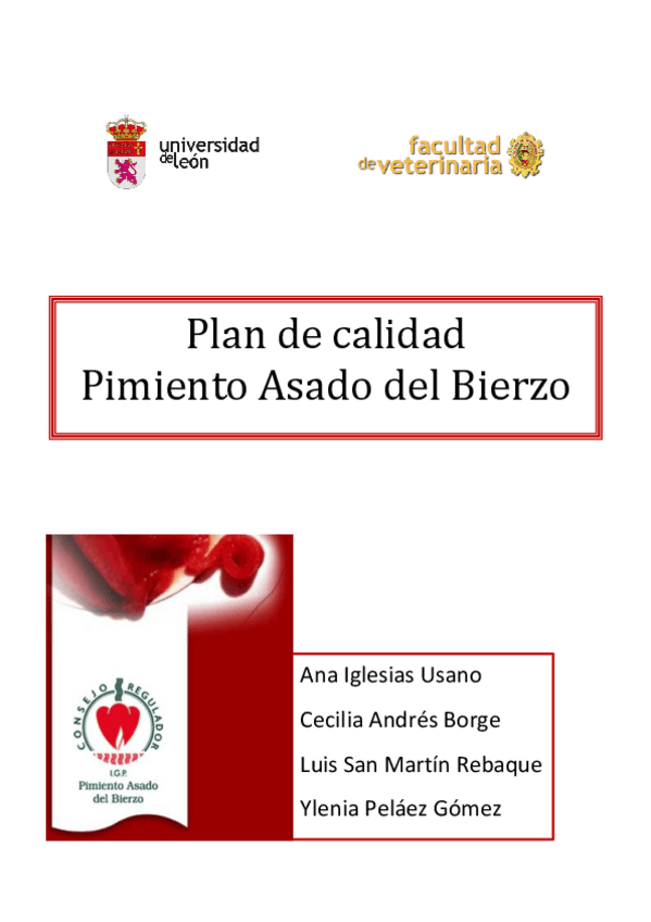 Miniatura del documento Plan-de-calidad.pdf
