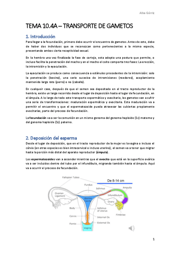 Miniatura del documento TEMA-10.pdf