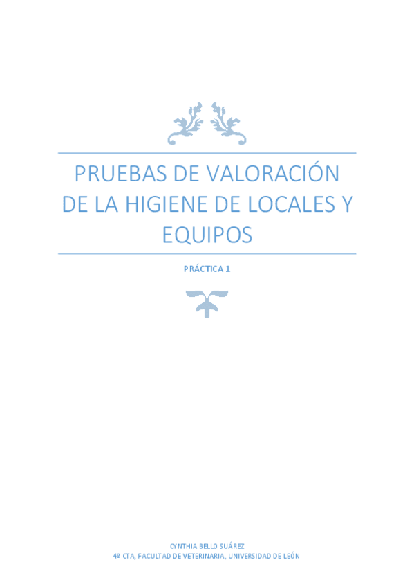 Miniatura del documento Practica-1-GSA.pdf