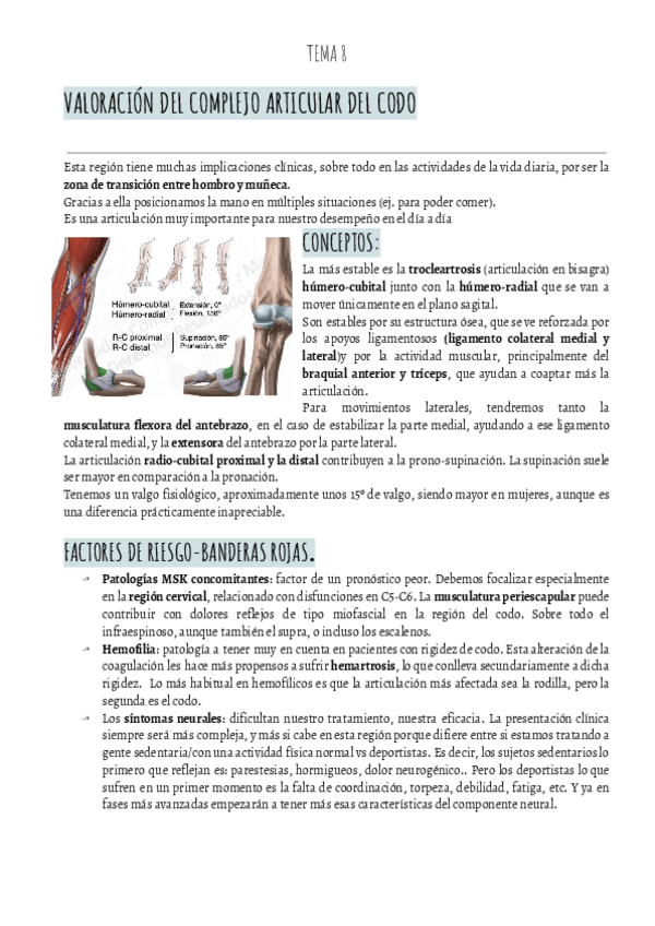 Miniatura del documento VALORACION-IBAI-T8-VALORACION-CODO.pdf