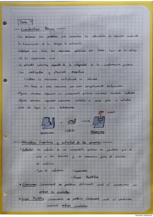 Miniatura del documento T7Enzimas.pdf