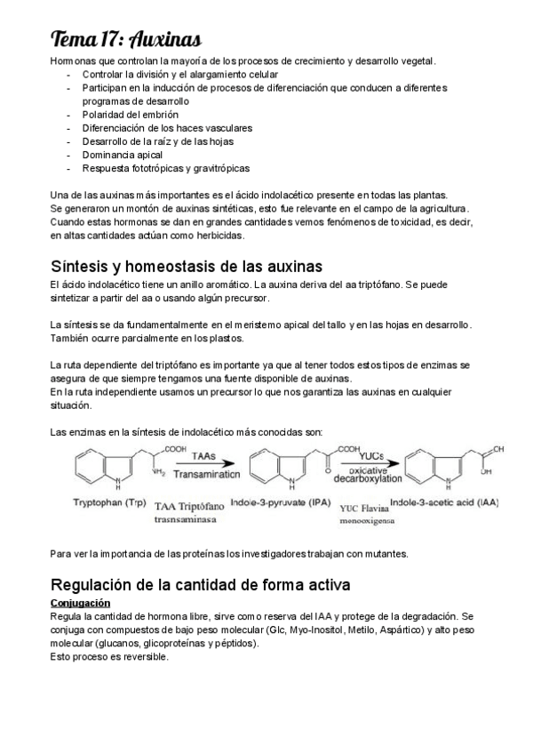 Miniatura del documento F.pdf