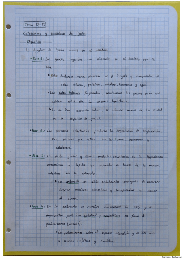 Miniatura del documento BioquimicaT12lipid.pdf
