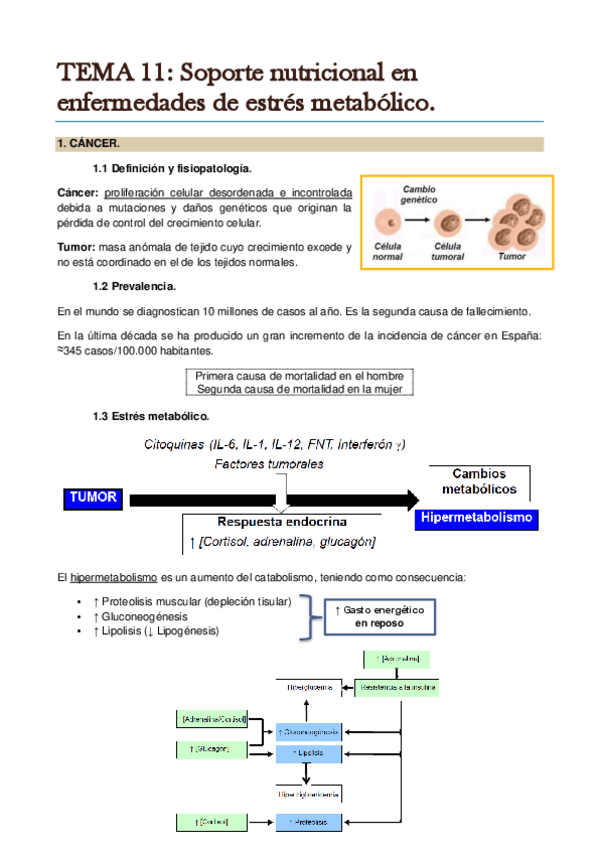 Miniatura del documento TEMA 11. Soporte nutricional en enfermedades de estrés metabólico..pdf