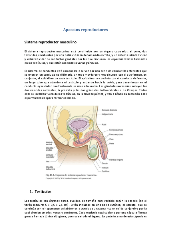 Miniatura del documento Tema-48-Aparatos-reproductores.pdf