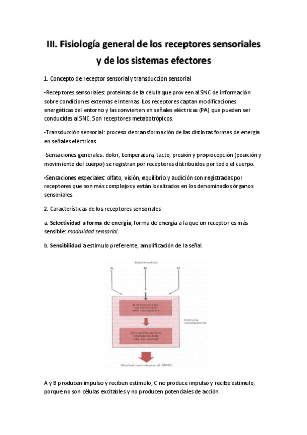 Miniatura del documento Fisiología Tema 3.pdf