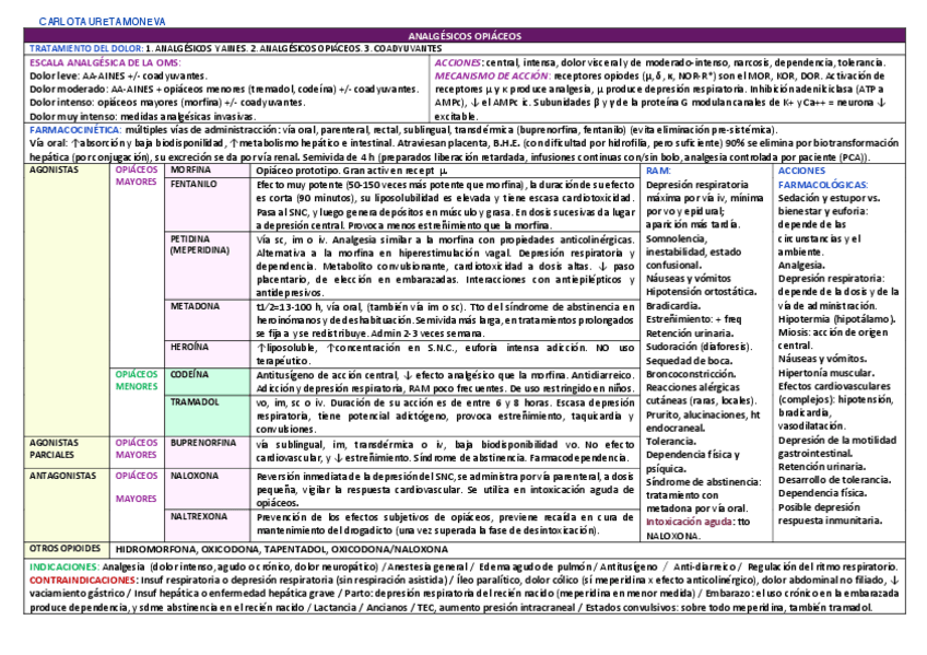 Miniatura del documento OPIACEOS-copia2.pdf
