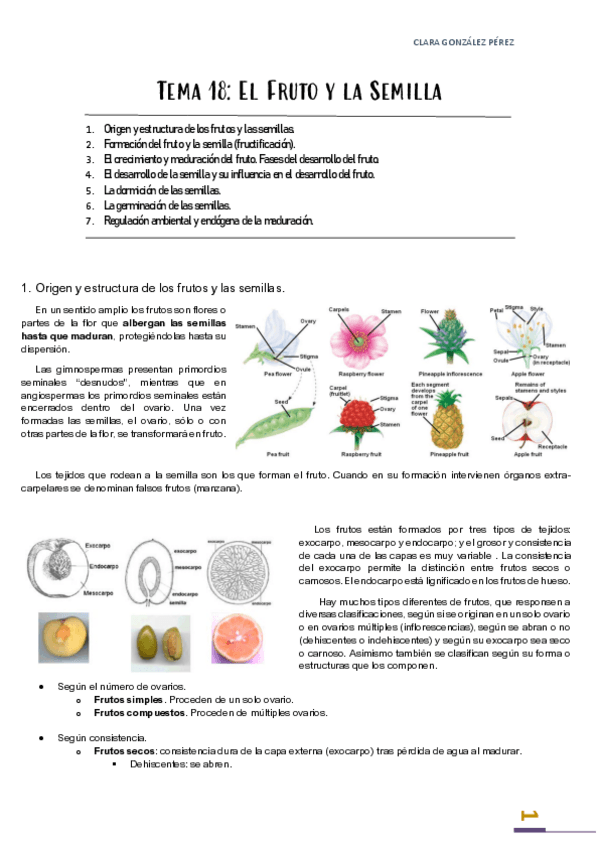 Miniatura del documento Tema-18.pdf