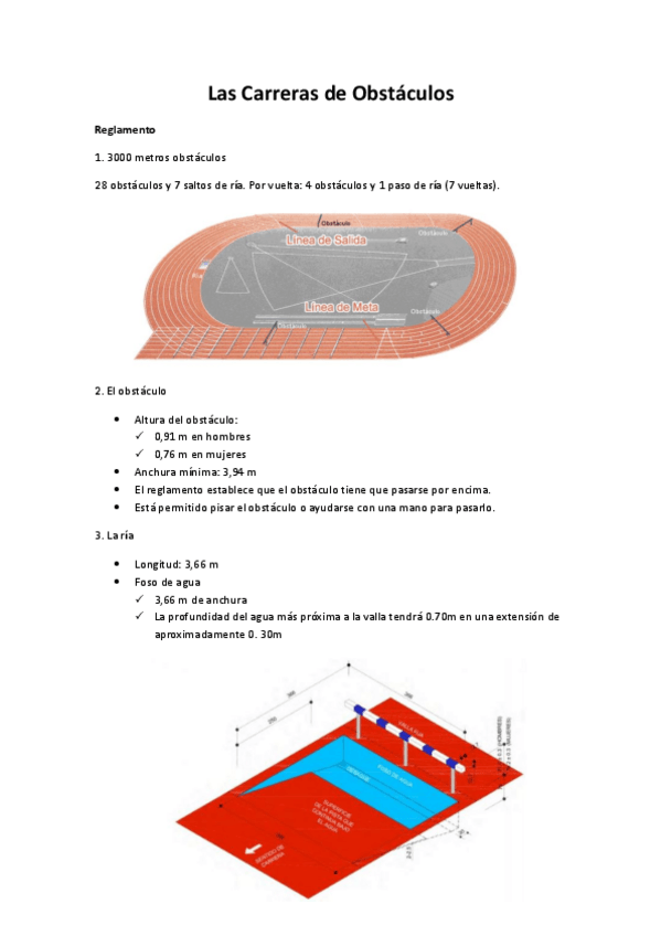 Miniatura del documento Las Carreras de Obstáculos.pdf