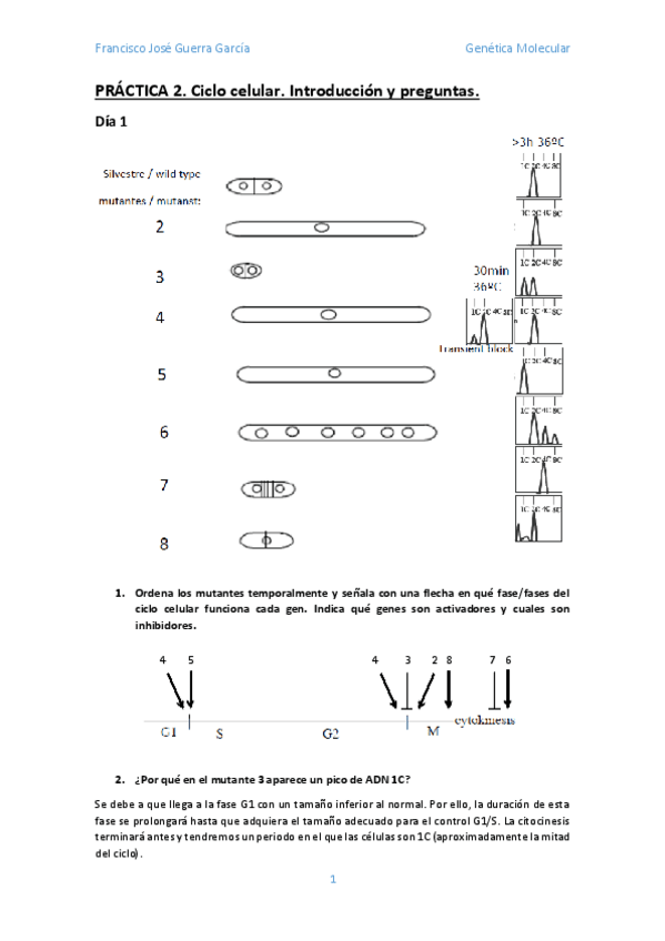 Miniatura del documento EPD-Ciclo-Celular.pdf