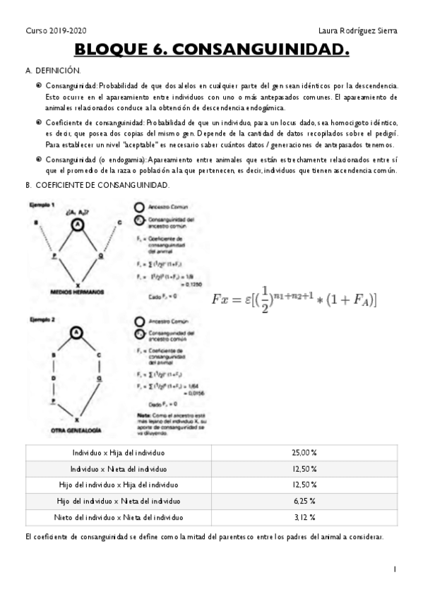 Miniatura del documento BLOQUE-6.pdf