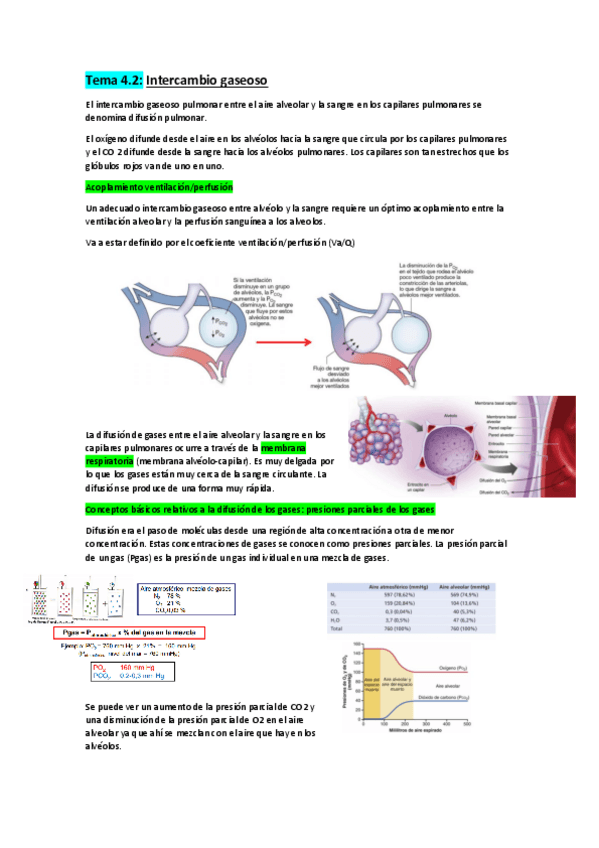Miniatura del documento Tema-4.pdf