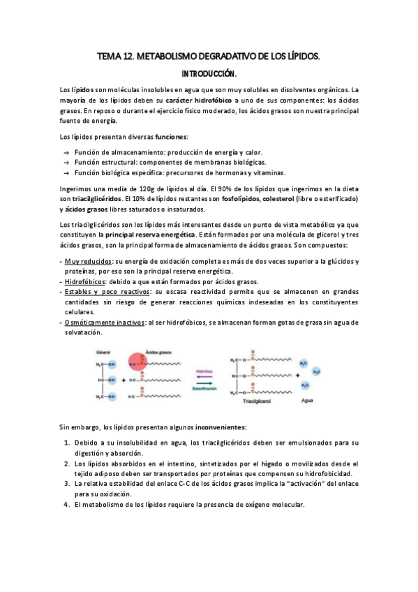 Miniatura del documento TEMA-12.pdf