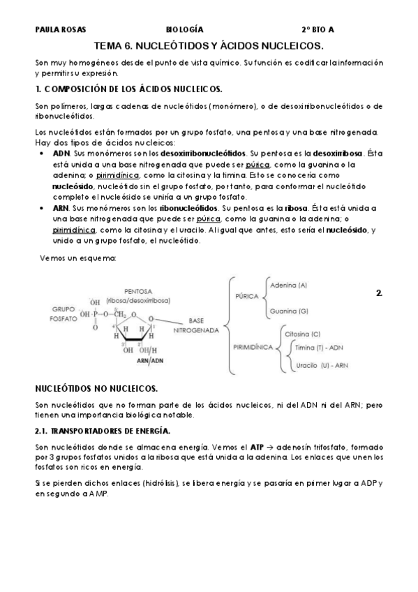 Miniatura del documento TEMA-6-ACIDOS-NUCLEICOS.pdf