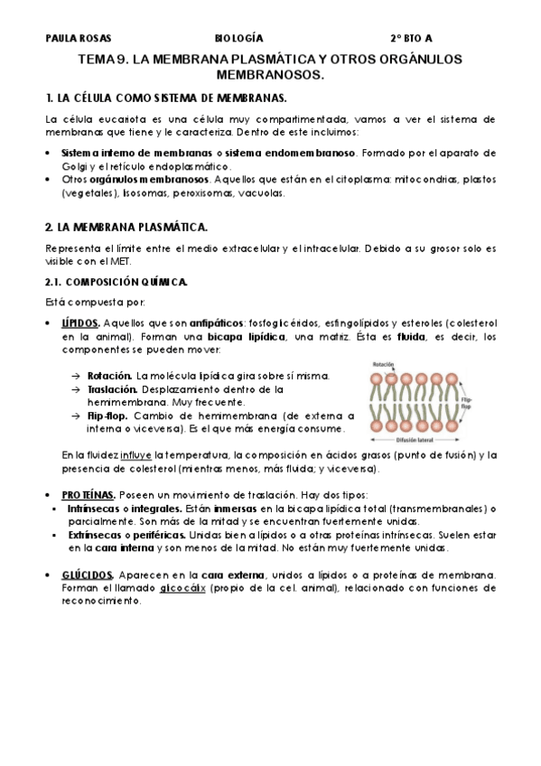 Miniatura del documento TEMA-9-MEMBRANA-PLASMATICA-Y-OTROS-ORGANULOS.pdf