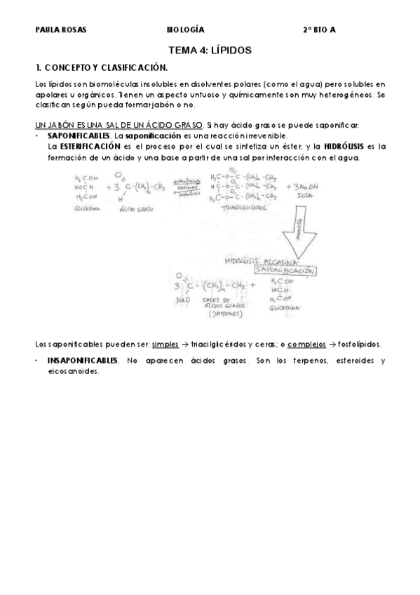 Miniatura del documento TEMA-4-LIPIDOS.pdf
