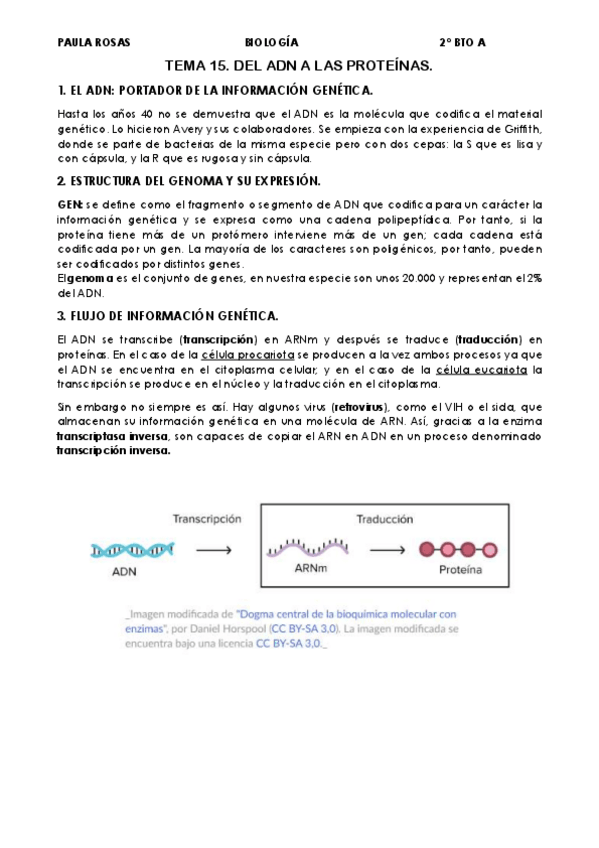 Miniatura del documento TEMA-15-DEL-ADN-A-LAS-PROTEINAS.pdf
