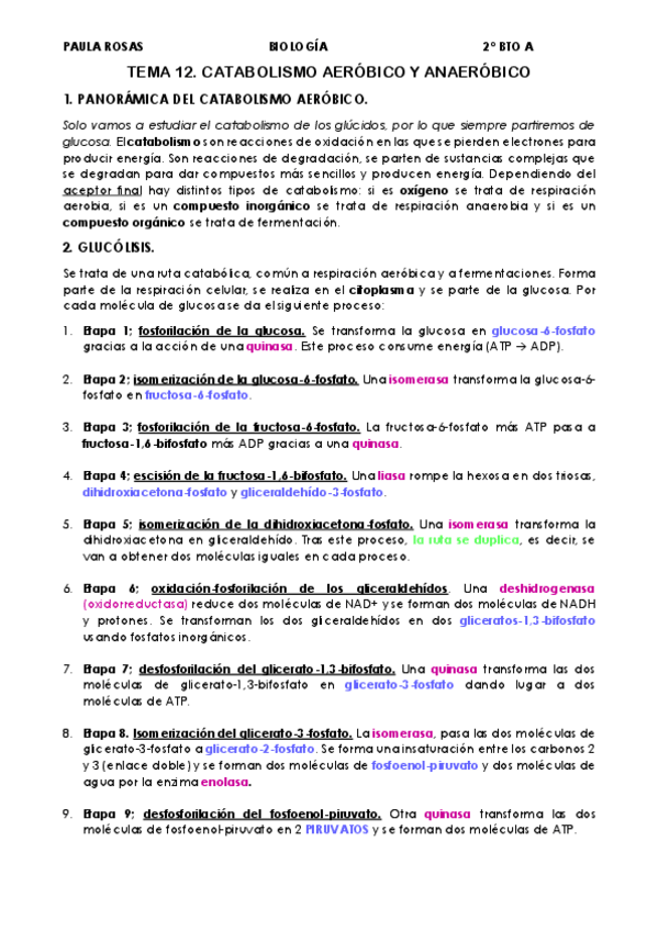 Miniatura del documento TEMA-12-CATABOLISMO.pdf