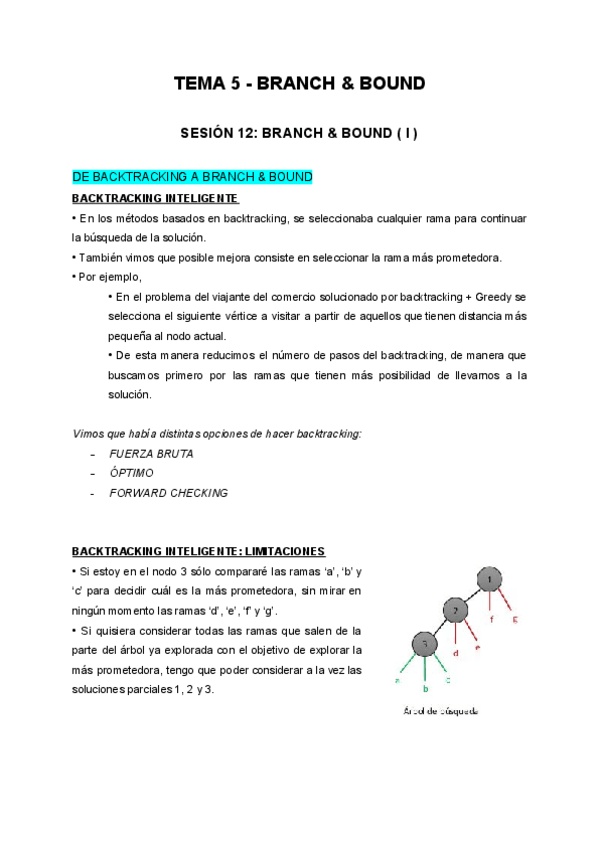 Miniatura del documento Tema-5-Branch-and-Bound.pdf