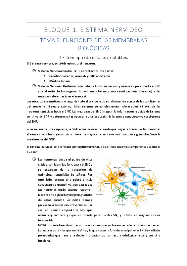 Miniatura del documento BLOQUE-1.pdf