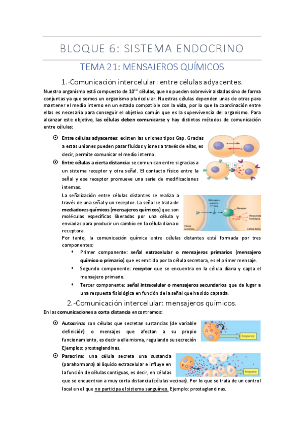 Miniatura del documento BLOQUE-6.pdf