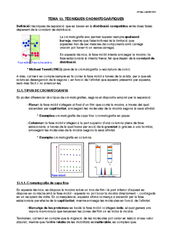 Miniatura del documento Apunts-Tecniques-Instrumentals-Tema-13.pdf