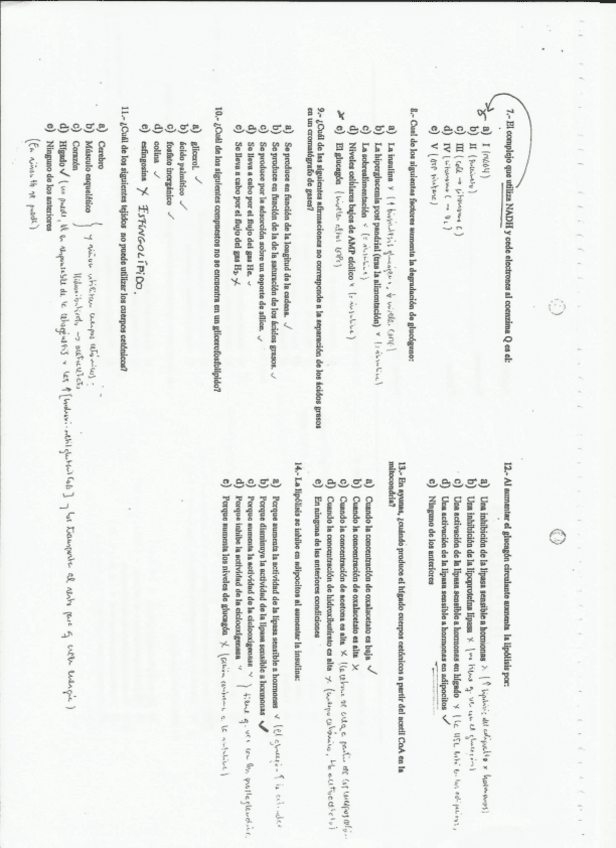 Miniatura del documento bioqui-quinielas-final.pdf