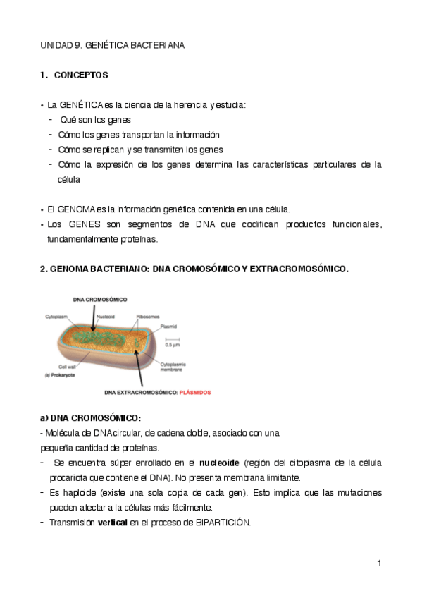 Miniatura del documento UNIDAD-9.pdf