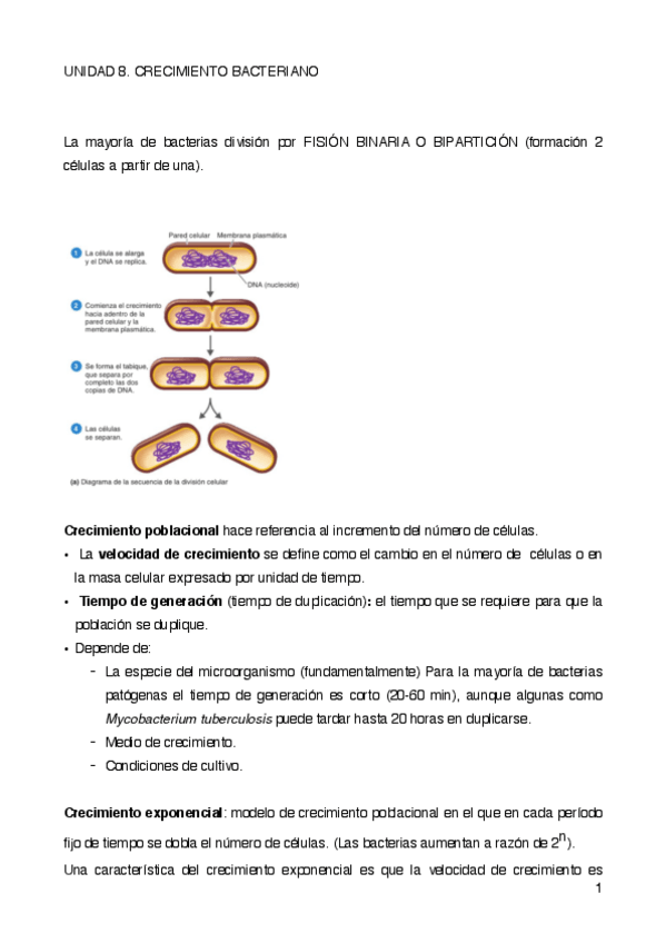 Miniatura del documento UNIDAD-8.pdf