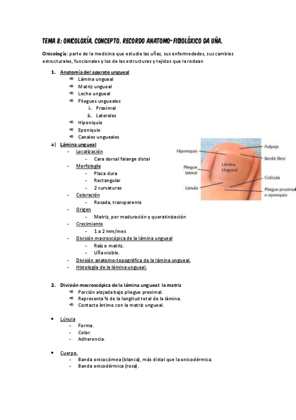 Miniatura del documento Tema-8.pdf