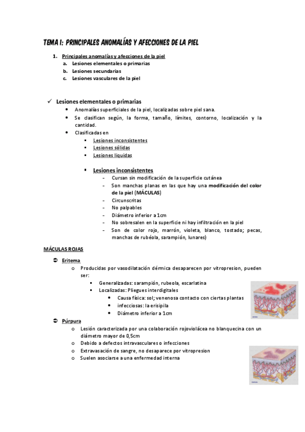 Miniatura del documento Tema-1.pdf