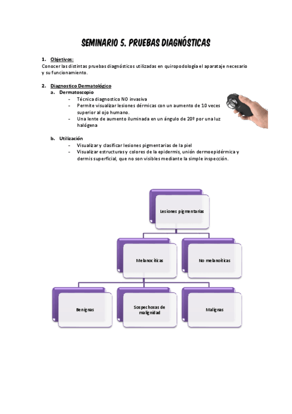 Miniatura del documento SEMINARIO-5.pdf