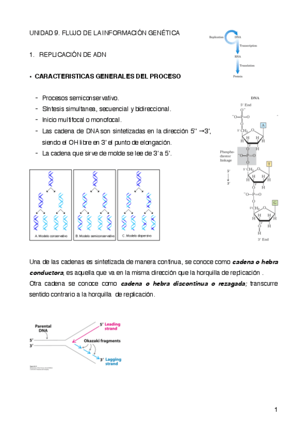 Miniatura del documento UNIDAD-9.pdf