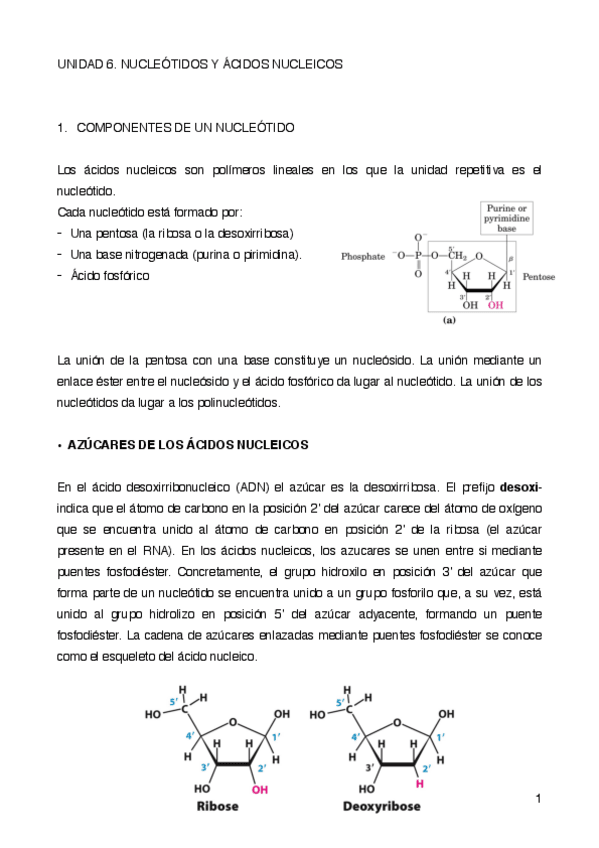 Miniatura del documento UNIDAD-6.pdf