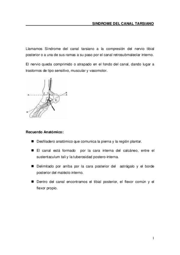 Miniatura del documento 9.pdf