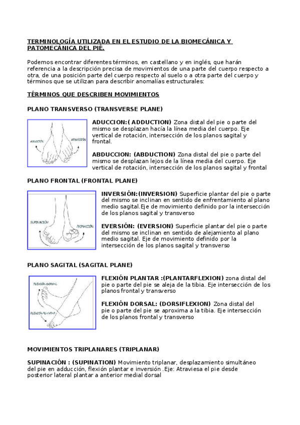 Miniatura del documento Tema-2-Modelos-teoricos.docx