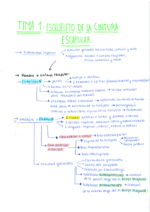 Miniatura del documento APUNTES-TEMA-1-28.pdf