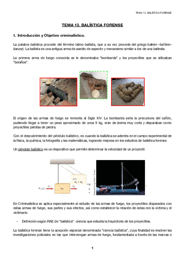 Miniatura del documento Tema-13.pdf