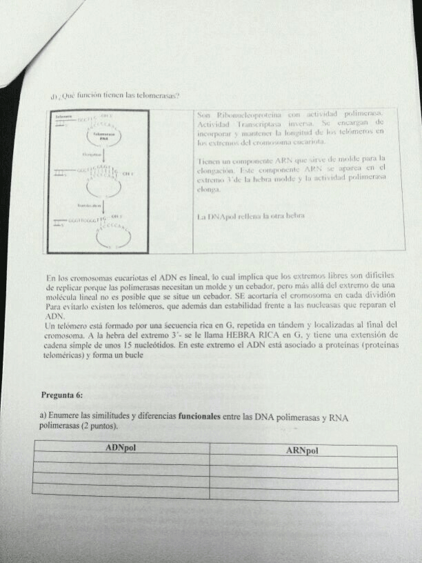 Miniatura del documento IMG_3079.JPG