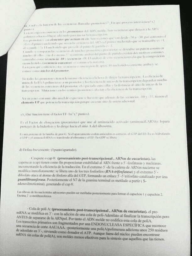 Miniatura del documento IMG_3080.JPG