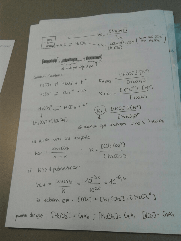 Miniatura del documento 2.jpg