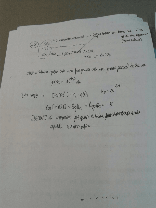 Miniatura del documento 3.jpg