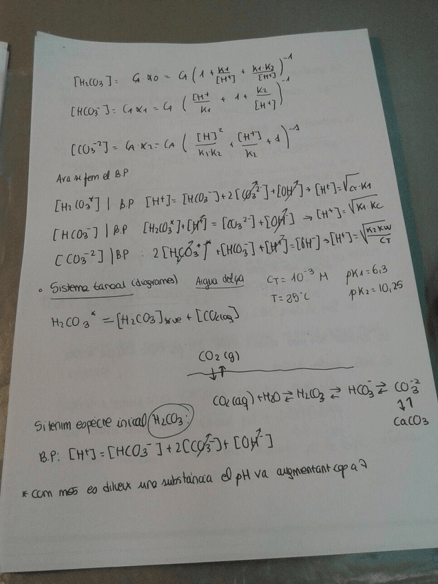 Miniatura del documento 4.jpg